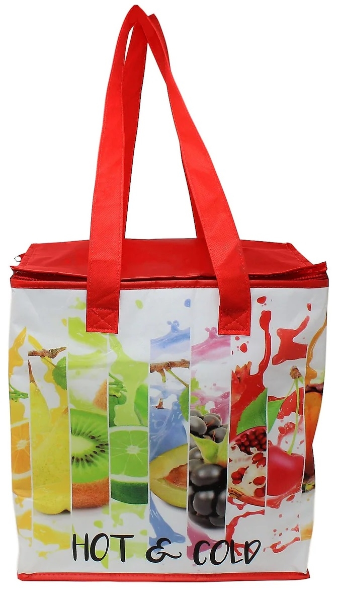 Earth Wise Plastic Medium Everyday Non Woven Insulated Bag, 12.5 x 14 x 7.75 inch -- 25 per case.