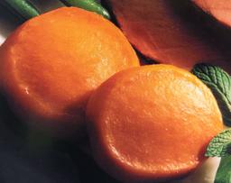 Product thumb gallery 2474961