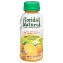 Floridas Natural Orange Juice, 10 Fluid Ounce -- 24 per case