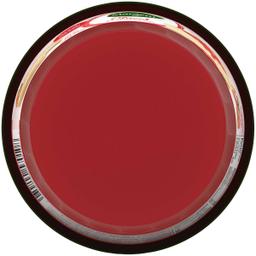 Product thumb gallery 2131261