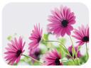 Hoffmaster Bright Daisy Bright Daisy Paper Traymat, 13.625 x 18.75 inch -- 500 per case.