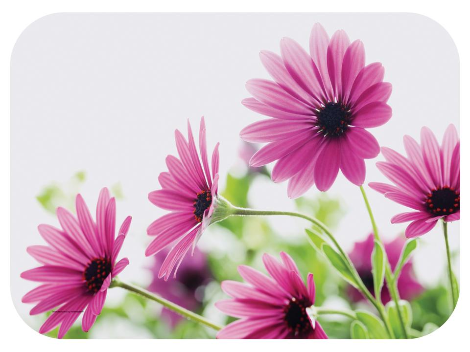 Product gallery 1621175