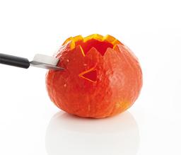 Product thumb gallery 3906155