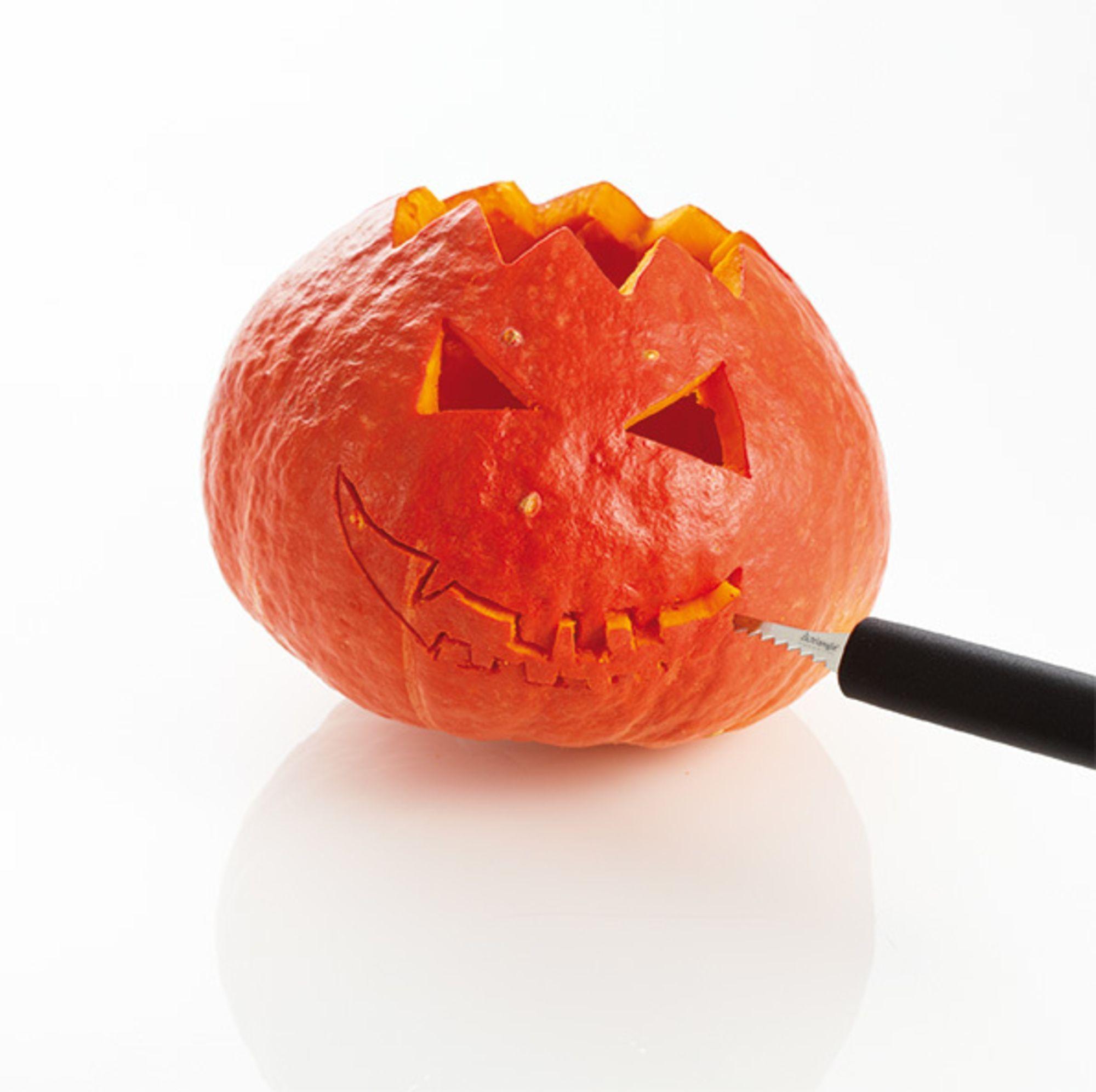 Product gallery 3906158