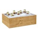 Cal-Mil Madera Ice Housing with Clear Pan, 21 x 13 x 6.5 inch