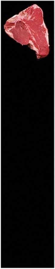 Product thumb gallery 2487064