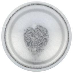 Product thumb gallery 652337456