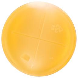 Product thumb gallery 447762437