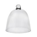 Polycrystal 5.5 inch Cloche, 6 count