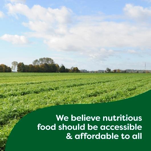 Product gallery 3338077