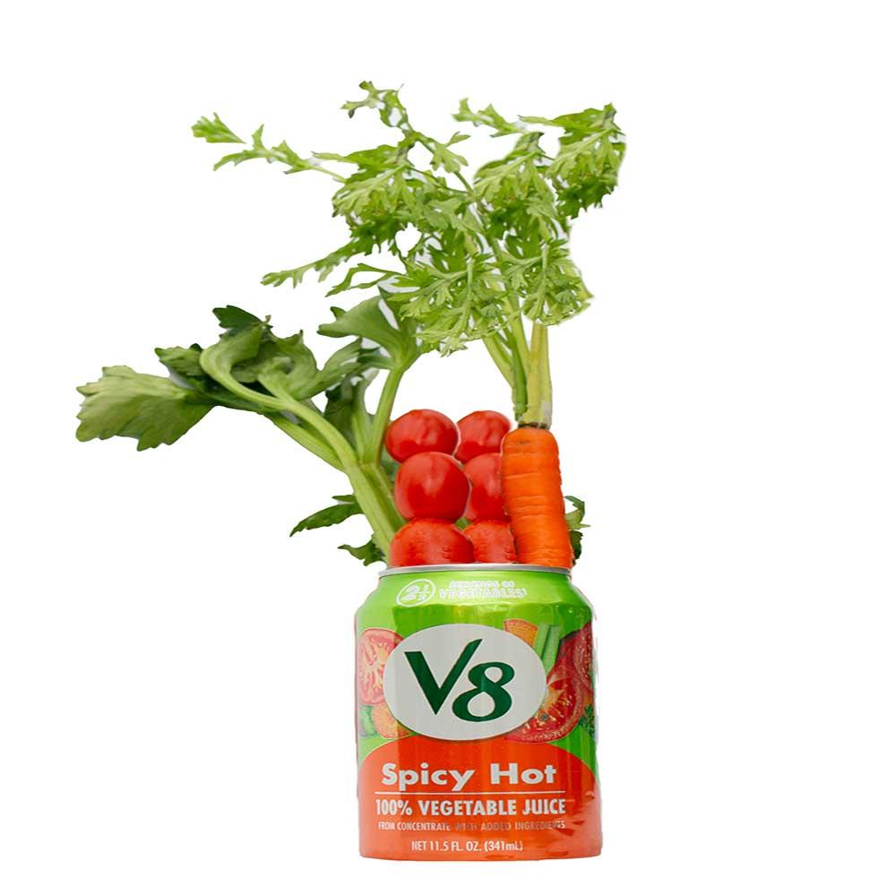 Product gallery 3144567