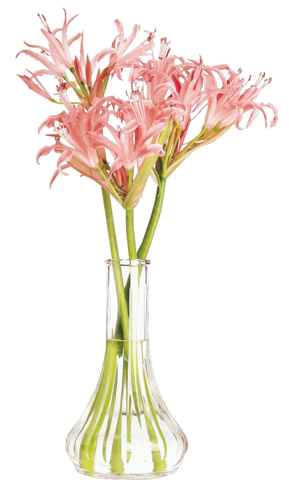 Product gallery 2909158