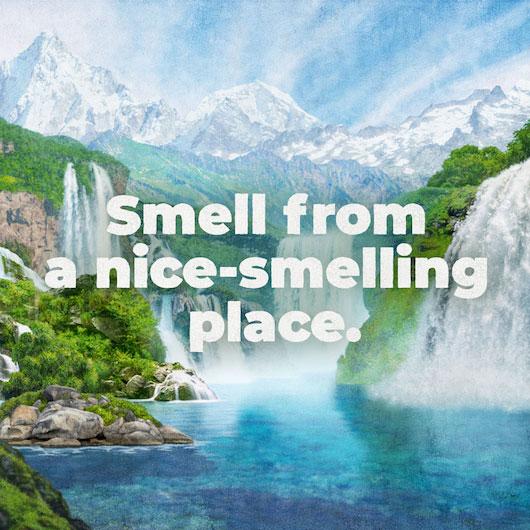 Product gallery 818391712